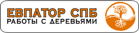 Евпатор СПб. Работы с деревьями.